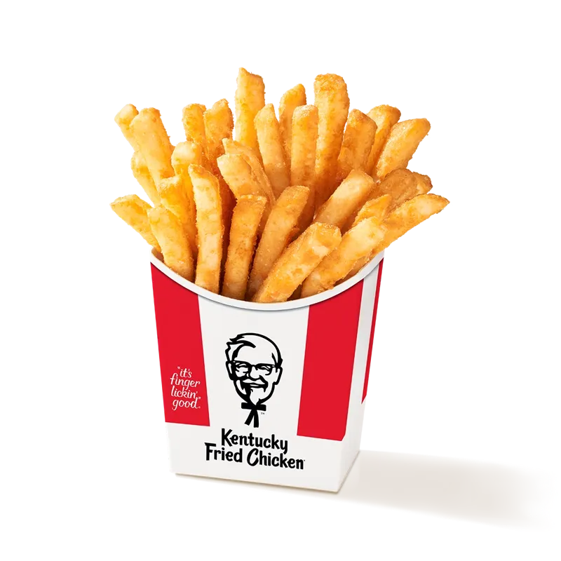 Secret Recipe Fries